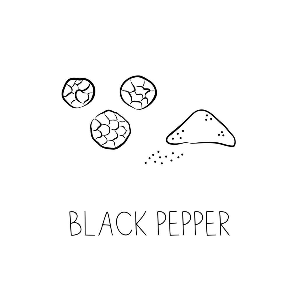 Sketch Black Pepper Simple Vector Illustration in Doodle Style