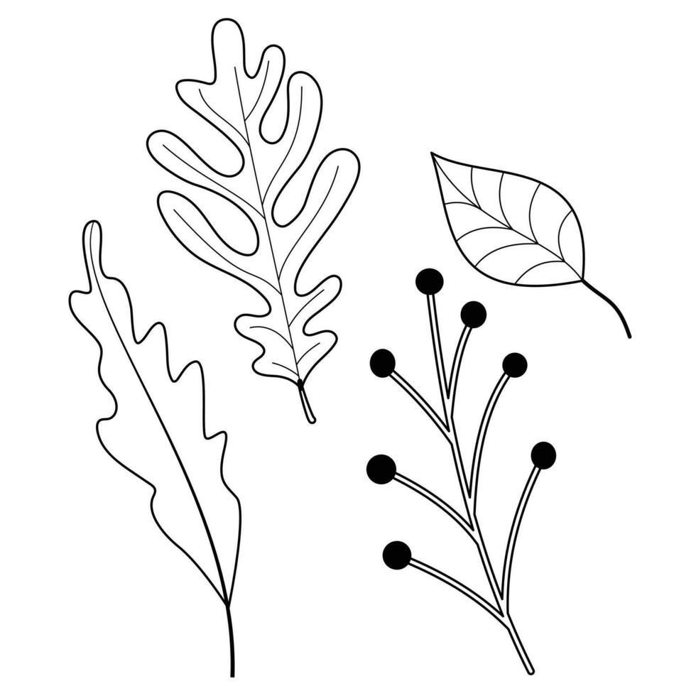 Fall and Autumn Season Holiday icon Vector Arts. Objects and stuffs around October Autumn Season with orange, brown, and green natural color resembling Fall season