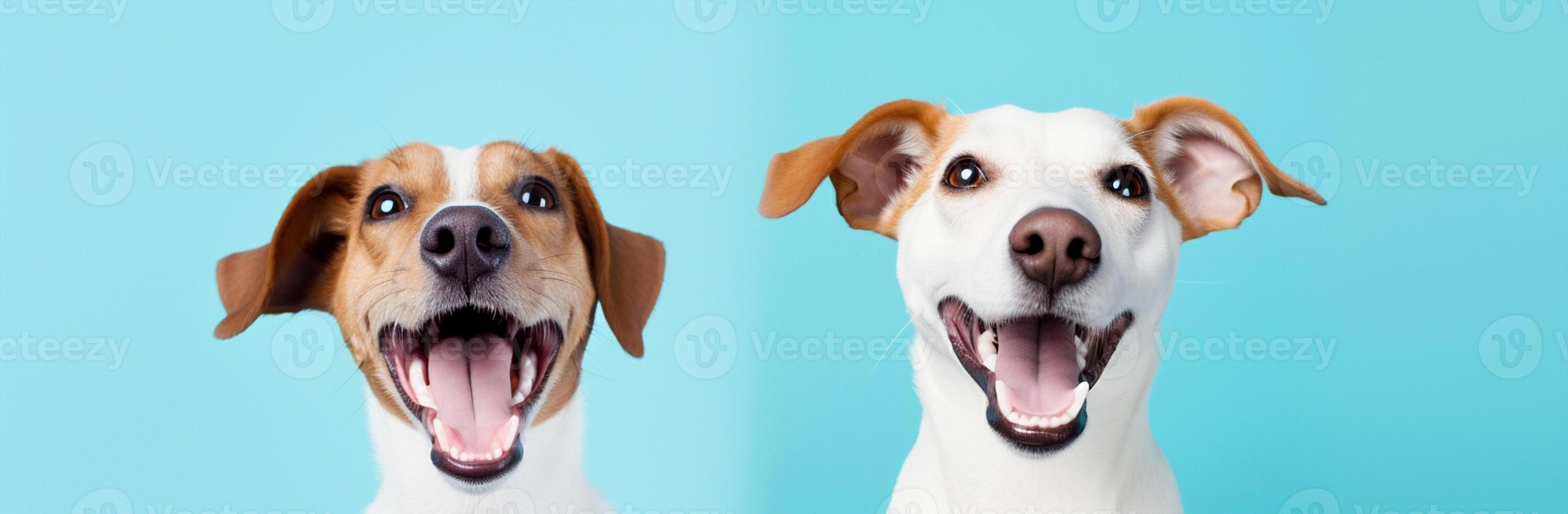AI Generated Dog doggy companion background pedigree fun animal puppy adorable portrait funny looking breed canine cute playful pets purebred domestic photo