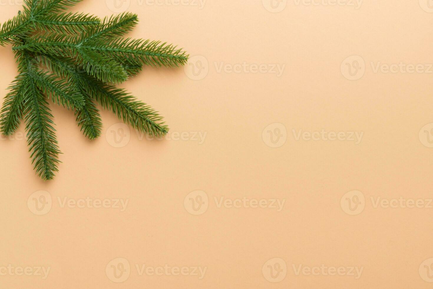 Christmas holiday background with copy space for advertising text. Fir branches on color background . Flat lay, top view photo