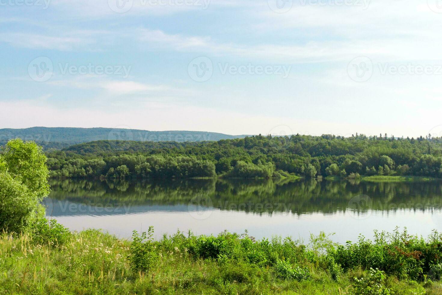 Natural view on a rural pond and a green forest. Clear blue sky background photo