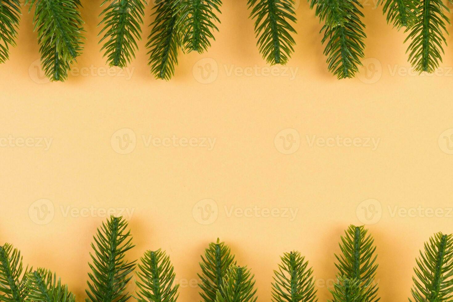 Top view of colorful background made of green fir tree branches. New year holiday concept with copy space photo