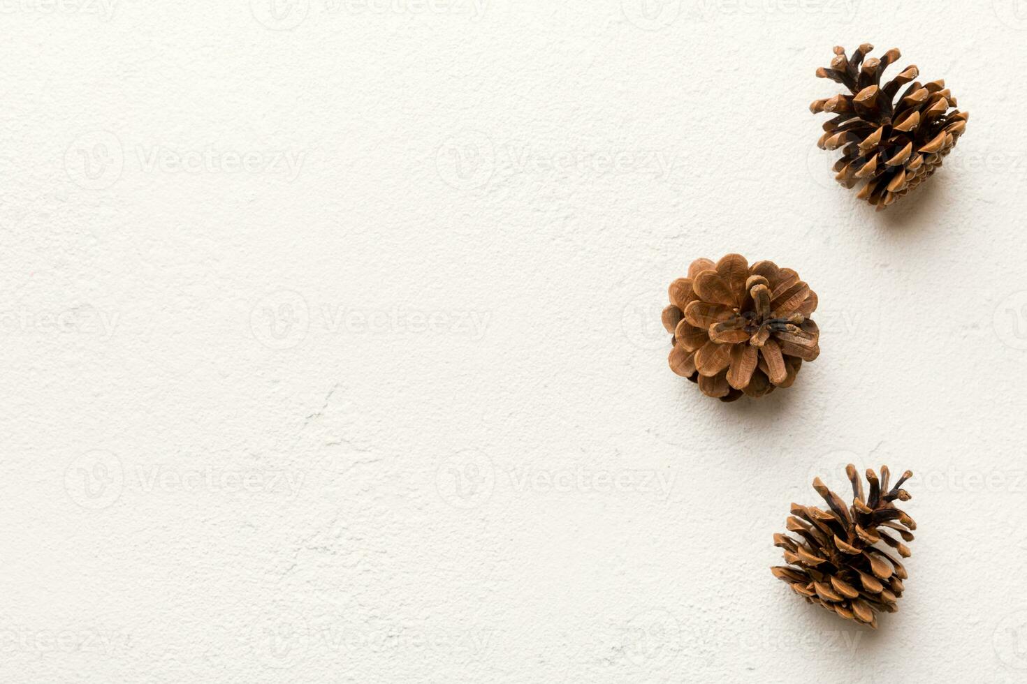 Christmas pine cones on colored paper border composition. Christmas, New Year, winter concept. Flat lay, top view, copy space photo