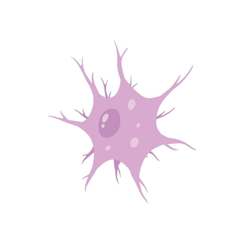 Neuron cell. Brain activity and dendrites. Membrane and the nucleus. Medical Concept of memory and connection. Educational illustration isolated on white vector