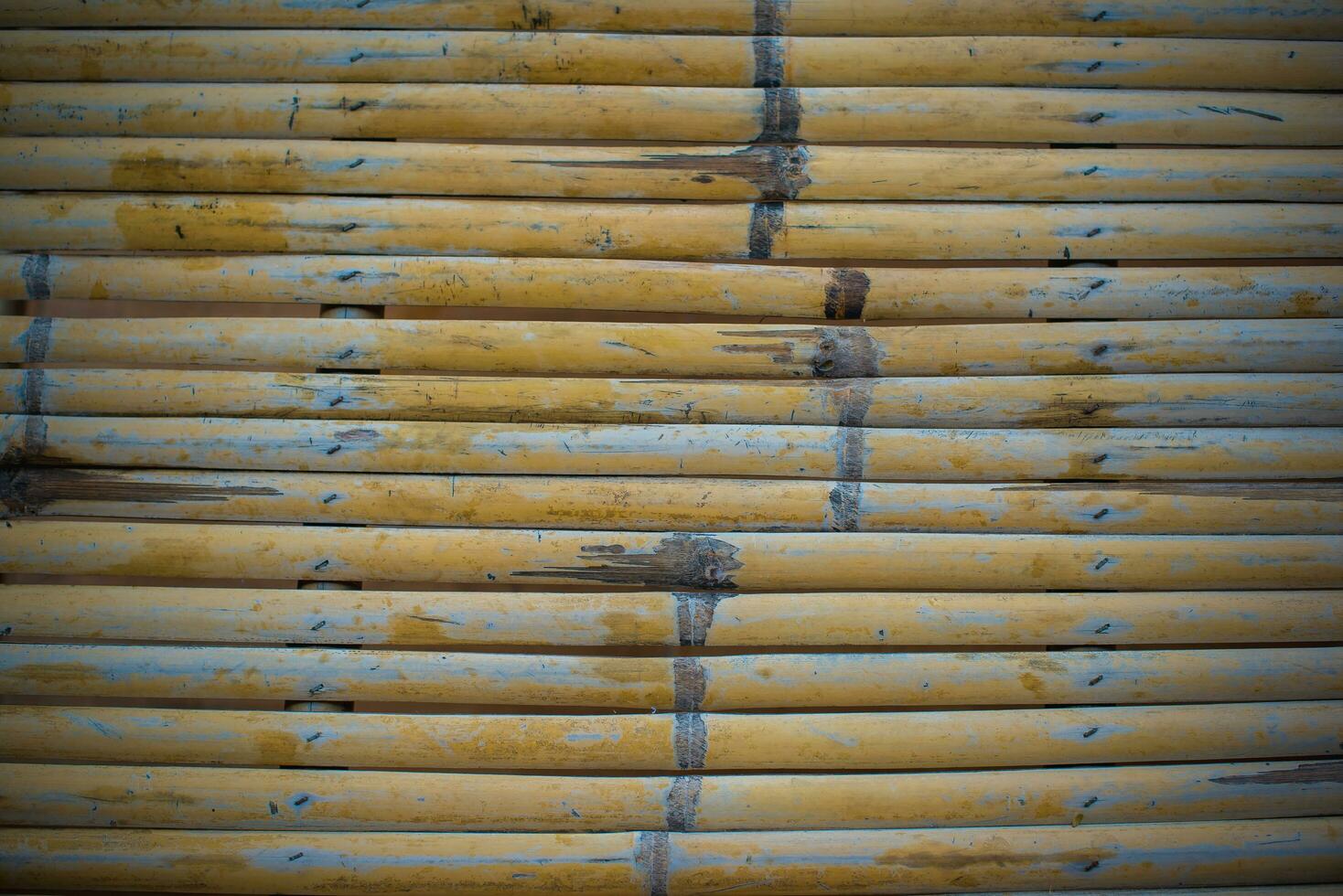 Bamboo texture, Bamboo cane fence, The fence of the house is made of bamboo, natural and exotic texture background - image photo