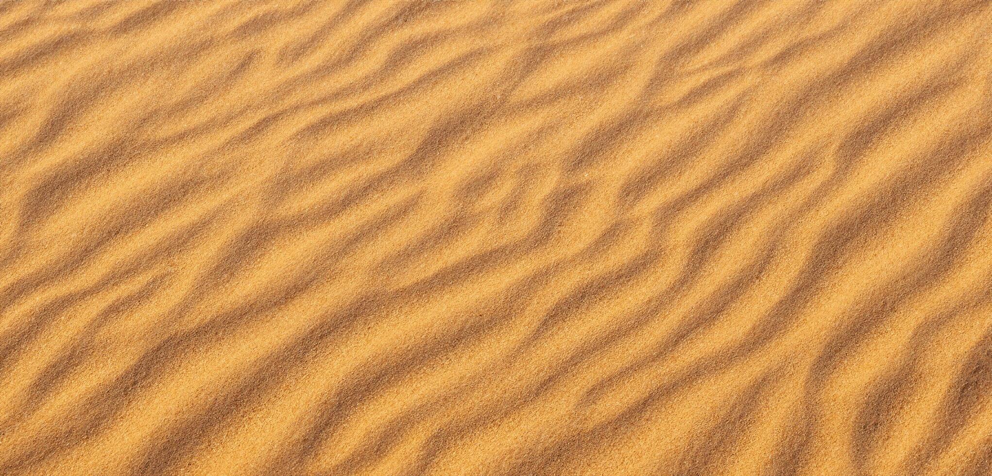 Sand background Panorama of the desert Wrinkles of sand blown by the wind photo