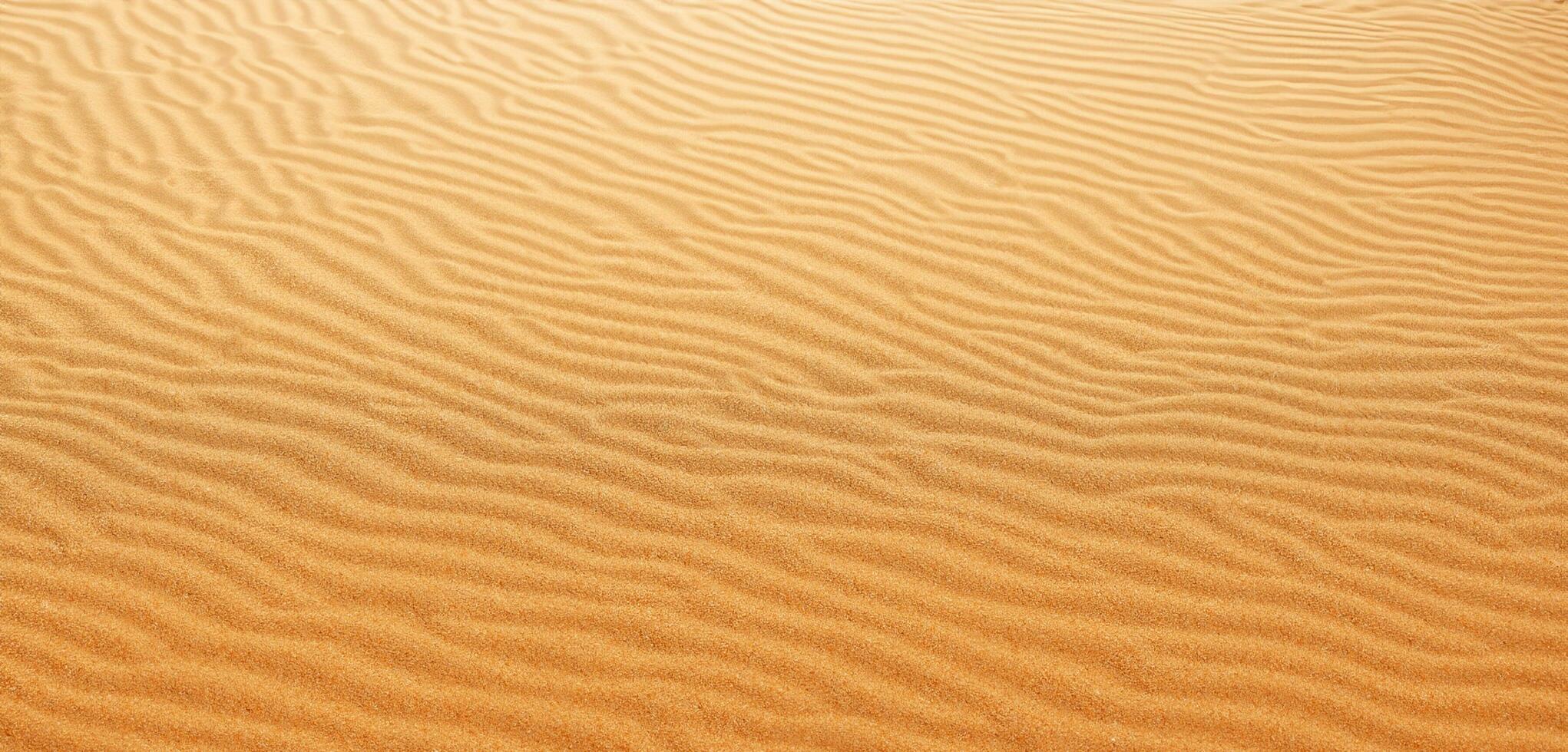 Sand background Panorama of the desert Wrinkles of sand blown by the wind photo