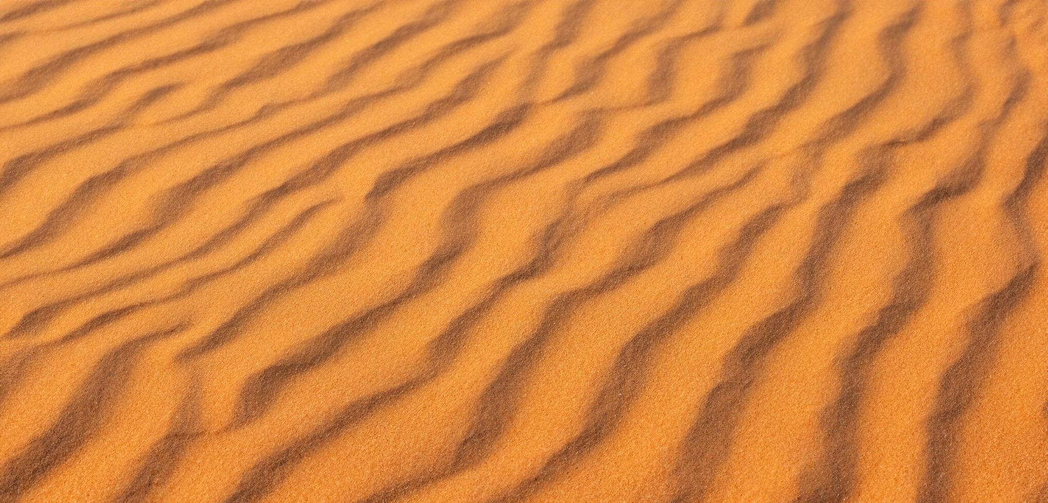 Sand background Panorama of the desert Wrinkles of sand blown by the wind photo