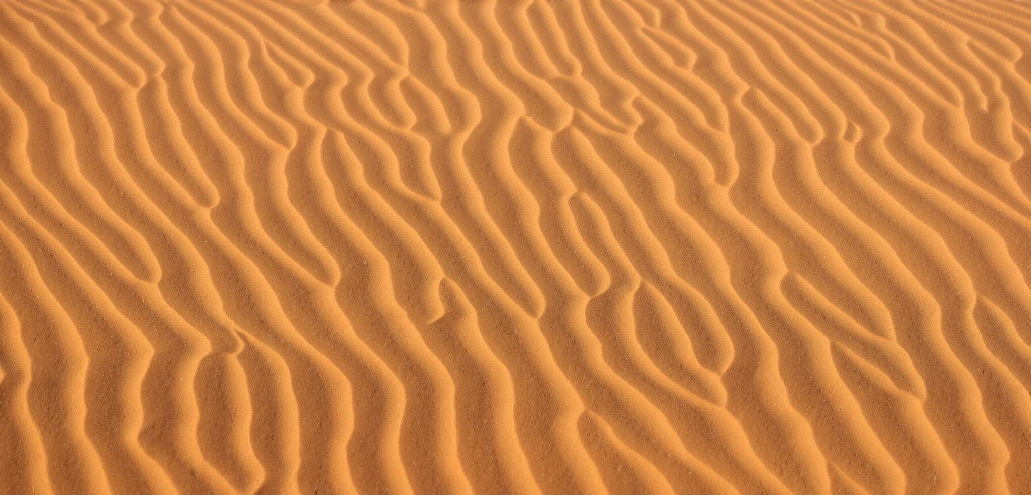 Sand background Panorama of the desert Wrinkles of sand blown by the wind photo