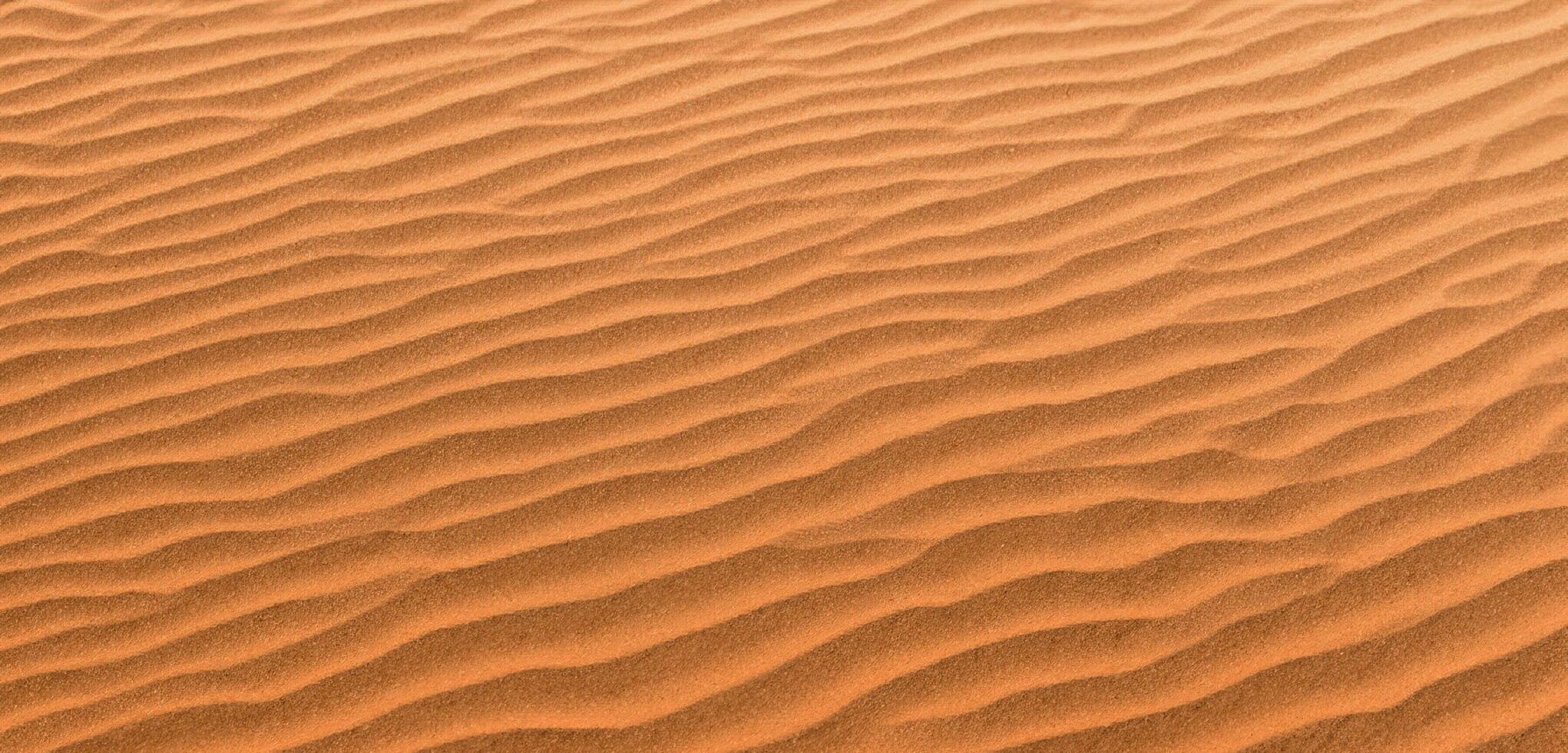 Sand background Panorama of the desert Wrinkles of sand blown by the wind photo