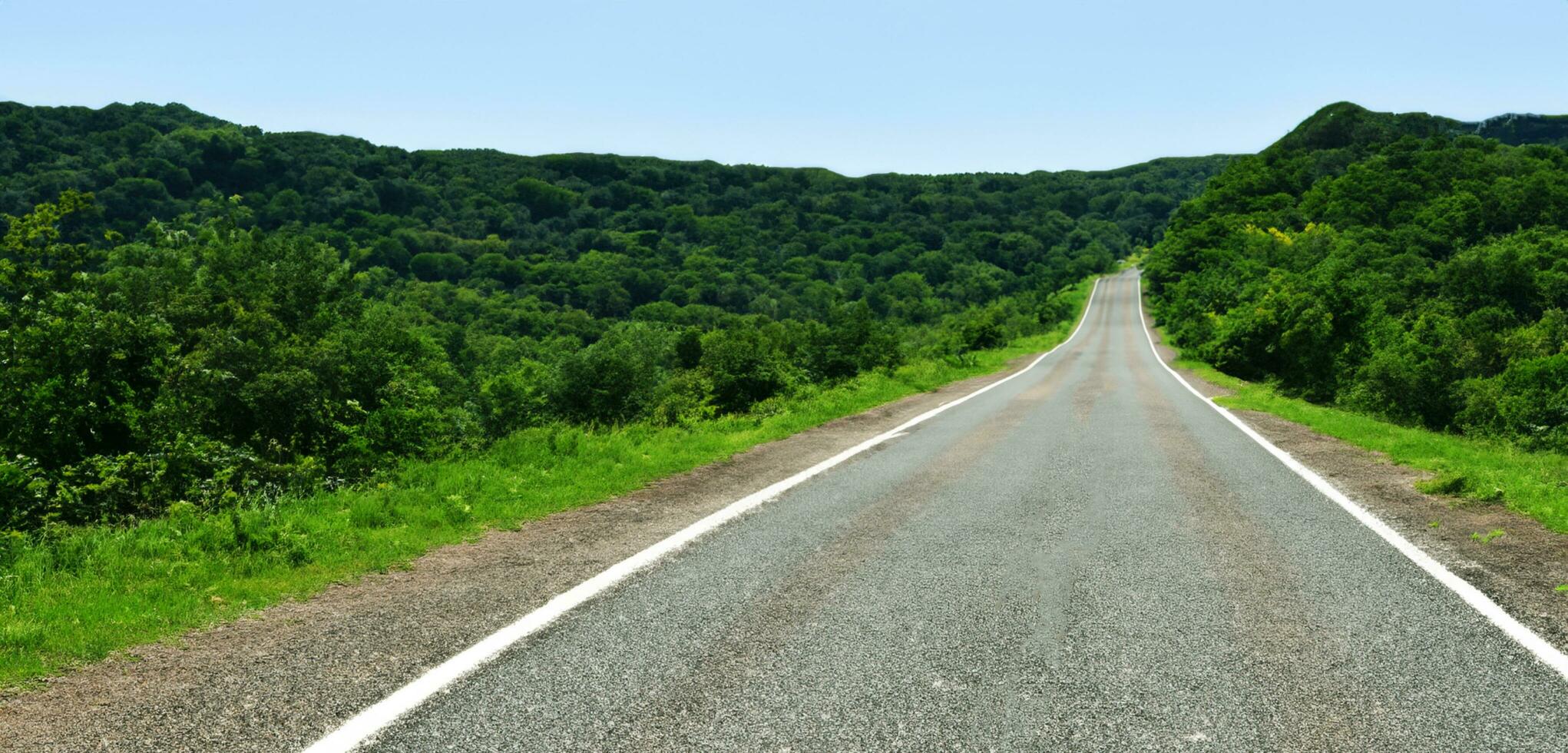 largo la carretera en el campo ambos lados de el la carretera son lleno con arboles y naturaleza largo excursiones en Días festivos foto