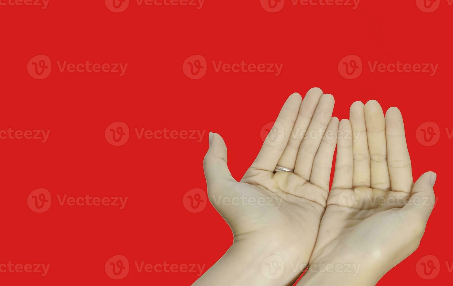 two empty female beautiful hands open with palms up closeup of top view isolated on white background photo