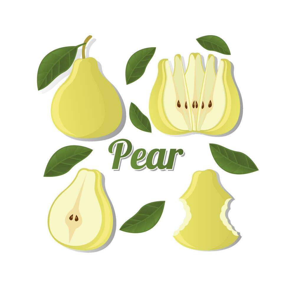 Pear Fruit Slice Design Vector Illustration. Leaf, Fruit, Doodle