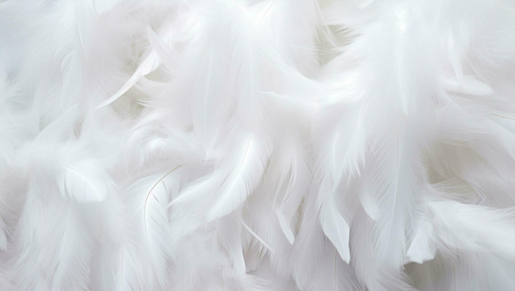 AI Generated Macro luxury fashion black background textured plumage nature feather abstract decorative design soft bird white pattern fluffy light softness beauty color closeup photo