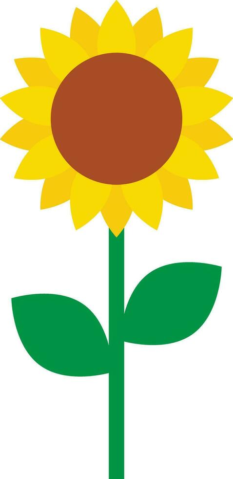 Sunflower icon vector with green leaves isolated on white background