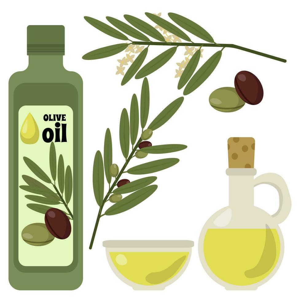 Set of olive oil and olive branches with fruits and flowers, vegetable oil in various bowls vector