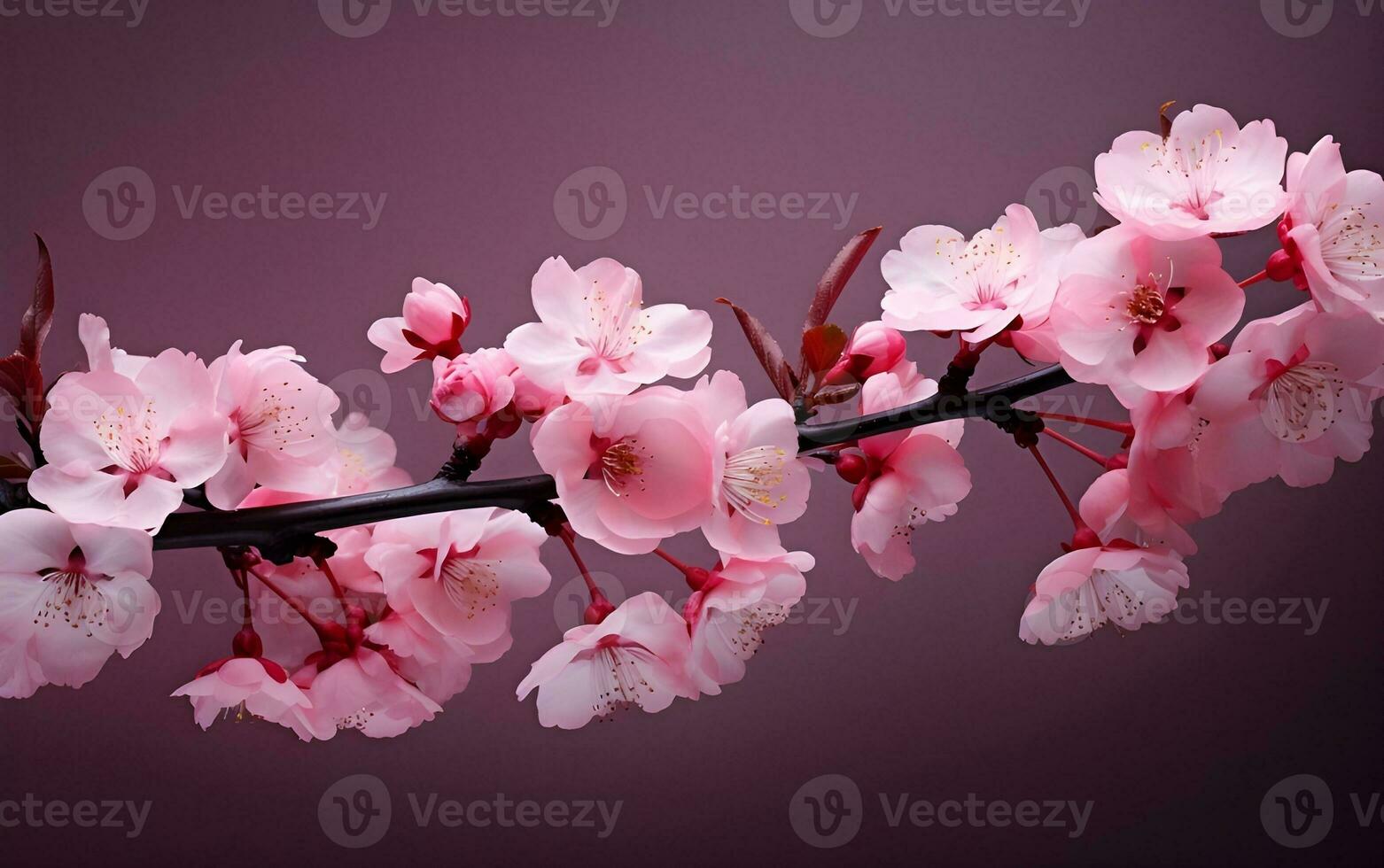 a branch of pink flowers on dark background Generative AI photo