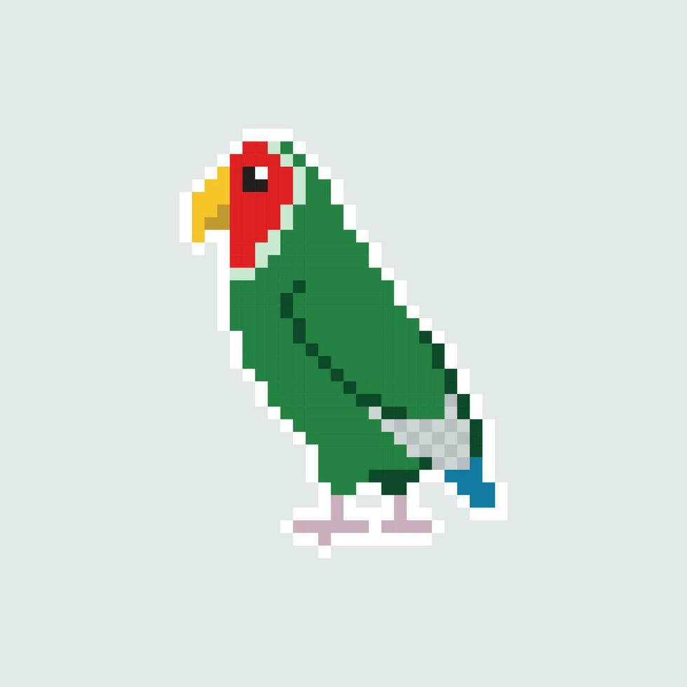 pixel art parrot illustration vector