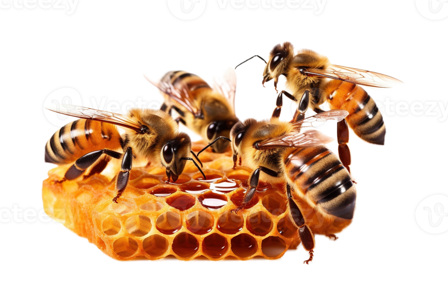 Three bees and honey comb isolated on transparent background. PNG file, cut out. AI Generated