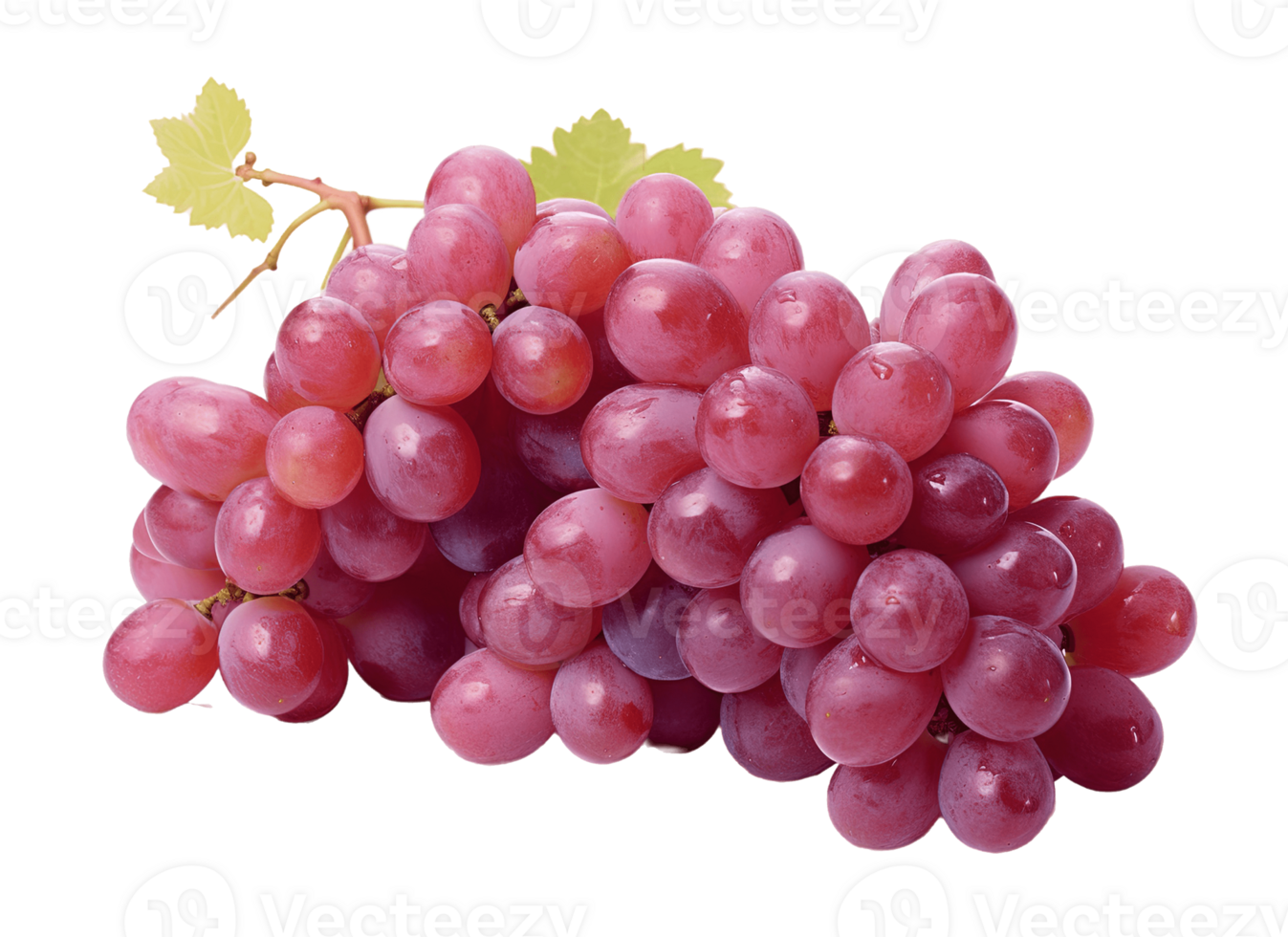 Grapes isolated on transparent background. PNG file, cut out. AI Generated