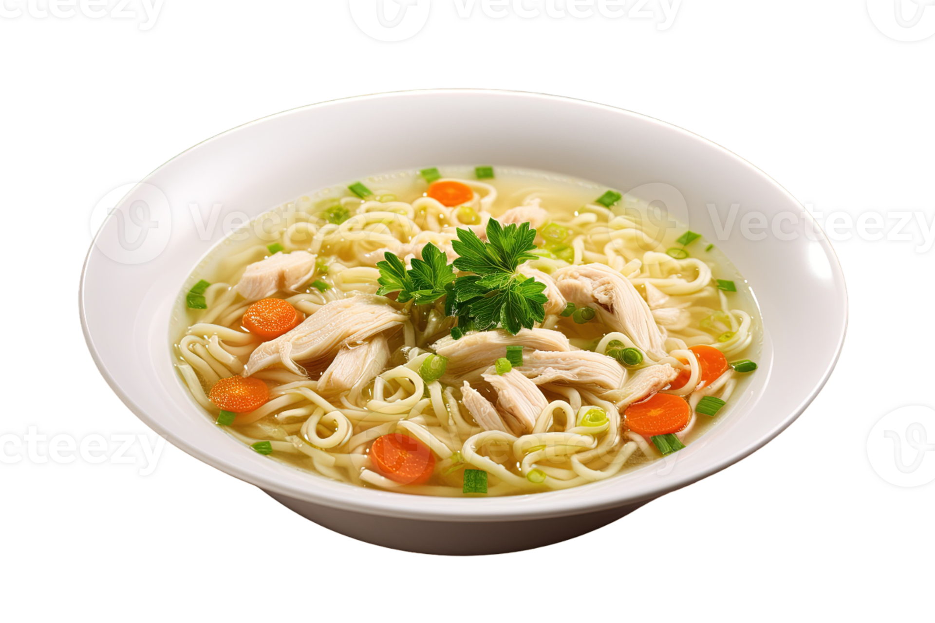 Chicken Noodle Soup Isolated On Transparent Background PNG File Cut chicken-noodle-soup-isolated-on-transparent-background-png-file-cut