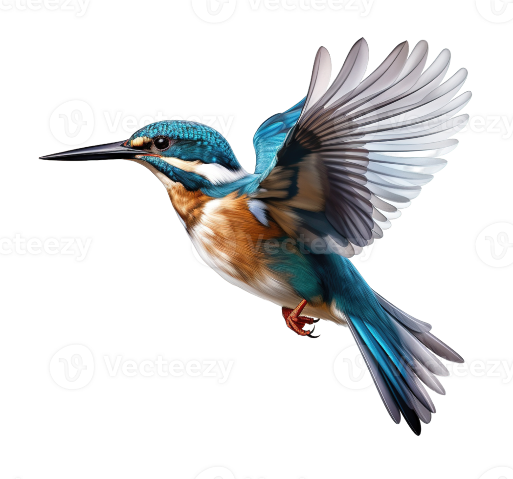 Flying kingfisher isolated on transparent background. PNG file, cut out. AI Generated