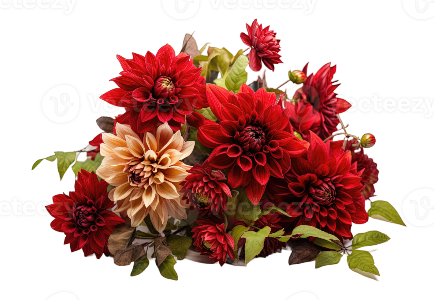 rouge dahlia bouquet de jardin fleurs floral arrangement isolé sur transparent Contexte. png déposer, Couper dehors. ai généré