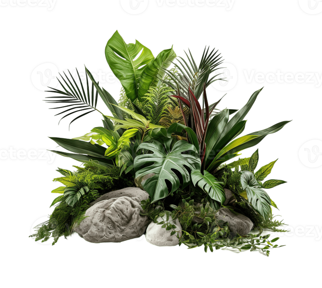 Tropical bush with decorative stones, floral arrangement in garden's natural design isolated on transparent background. PNG file, cut out. AI Generated