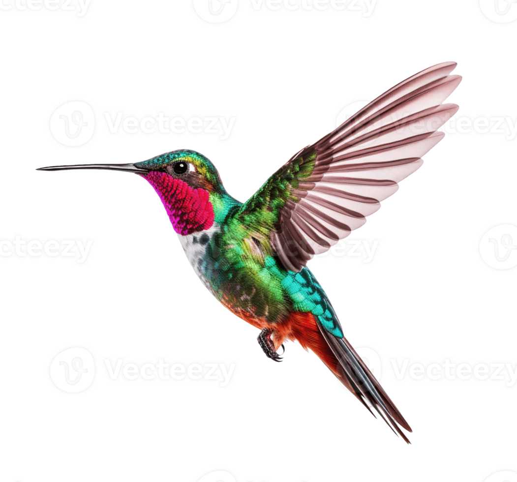 Hummingbird isolated on transparent background. PNG file, cut out. AI Generated