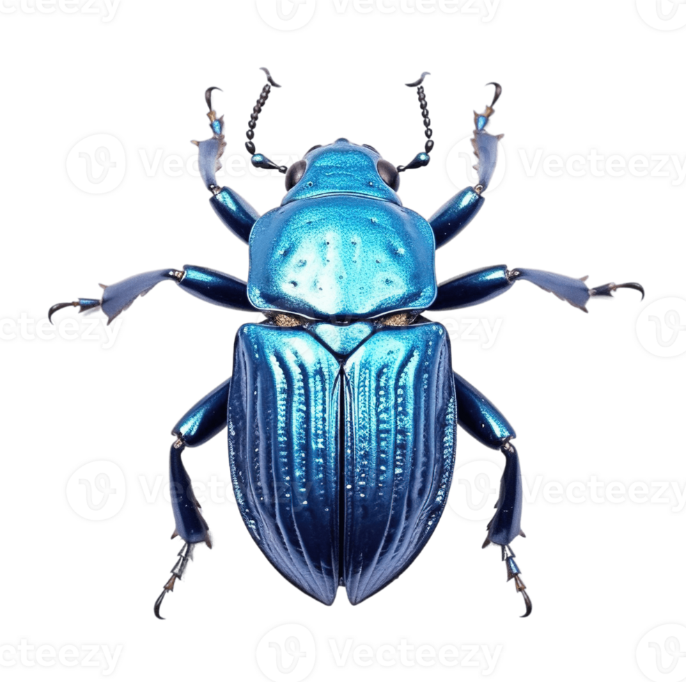 Shiny blue beetle isolated on transparent background. PNG file, cut out. AI Generated