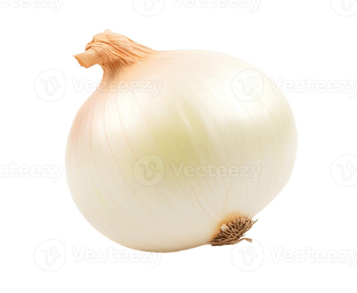Fresh onion isolated on transparent background. PNG file, cut out. AI Generated