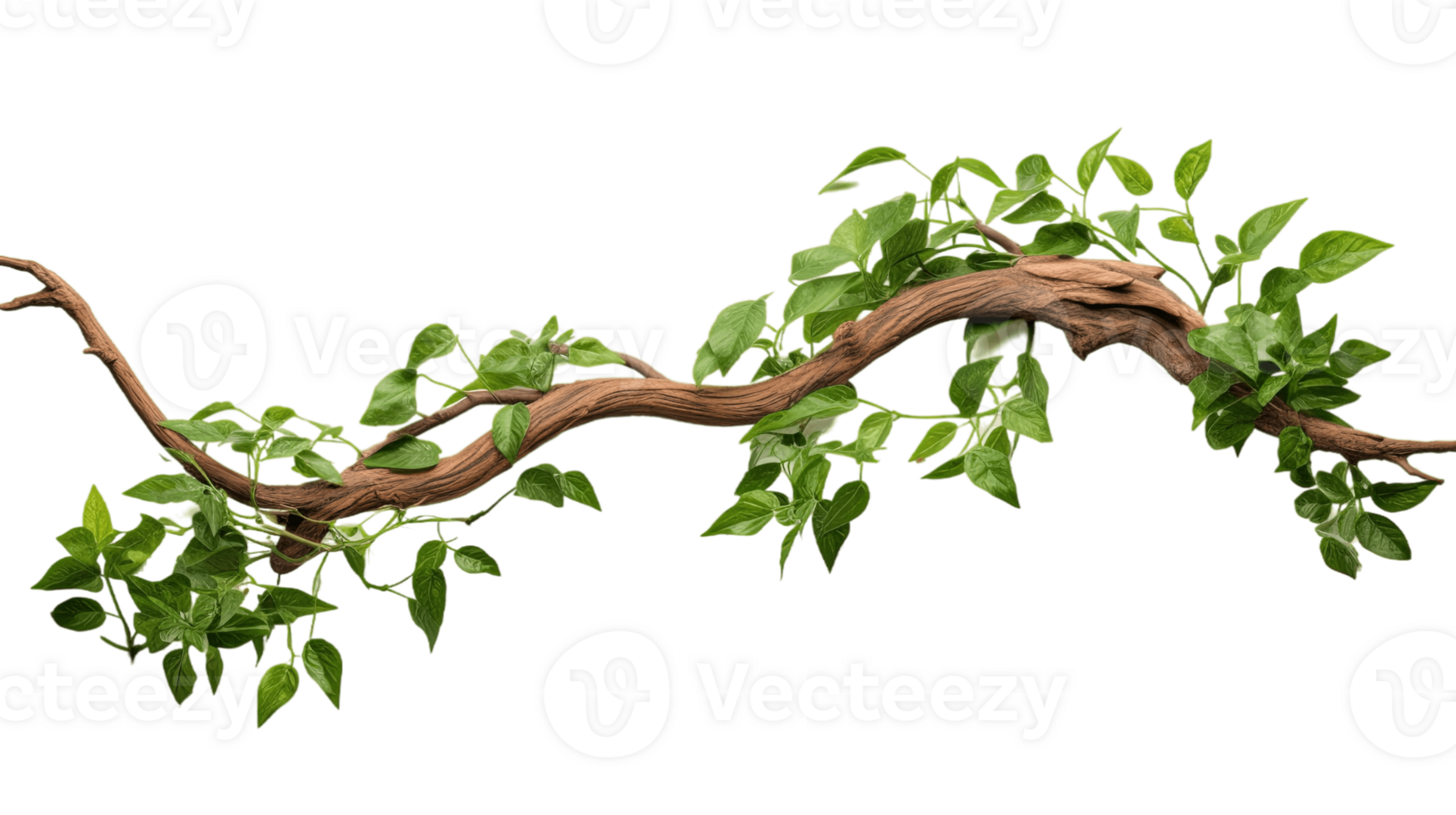 Twisted jungle tree branch plant growing isolated on transparent background. PNG file, cut out. AI Generated