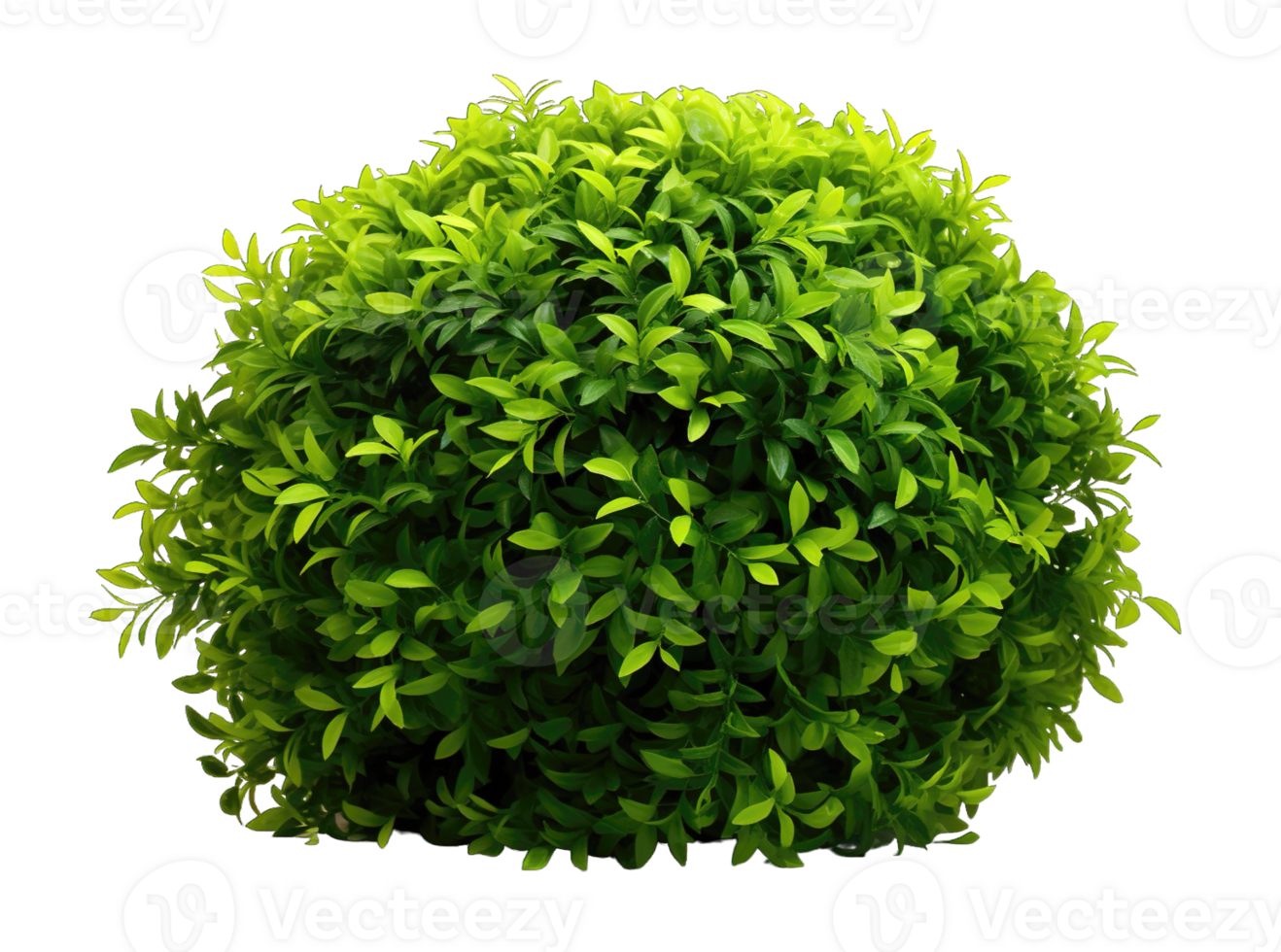 Green bush isolated on transparent background. PNG file, cut out. AI Generated
