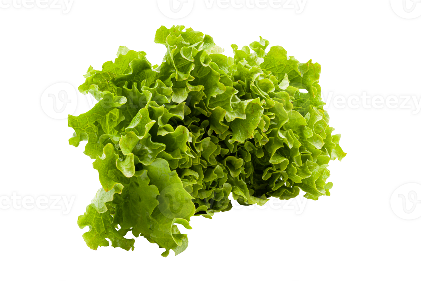 Lettuce with beautiful juicy green leaves on a white plate. No background. For garnishing. High quality photo. png