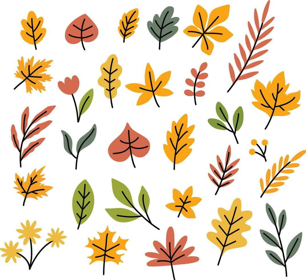 Autumn bundle of cute and cozy design elements. Set of fall twigs with leaves, foliage. Colored flat vector illustration isolated on white background