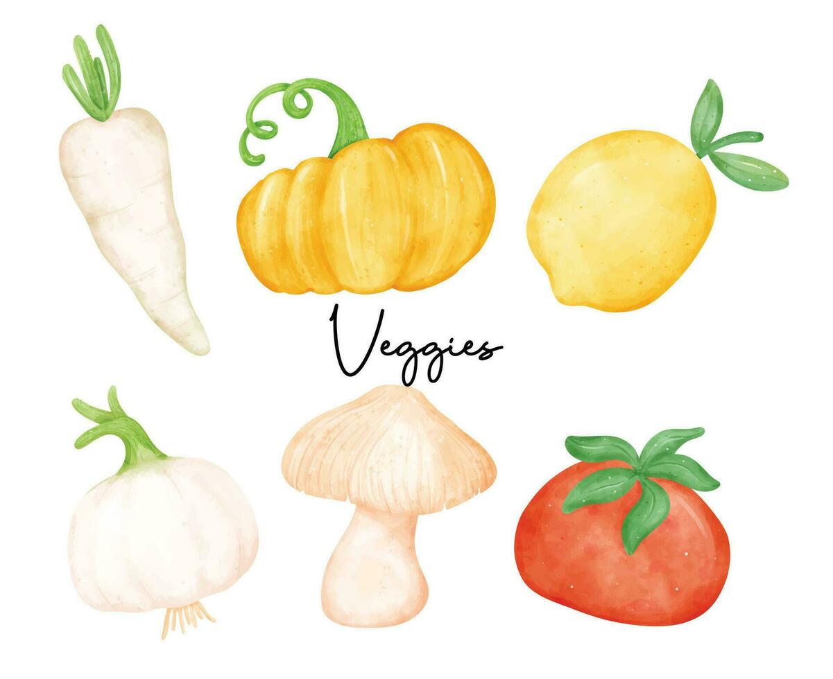 Fresh and Colorful Vegetable Illustrations in Watercolor Style vector