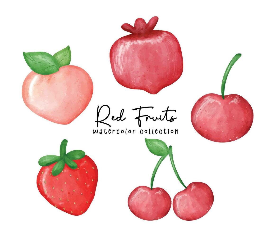 Watercolor Cute vibrant Red Fruits Collectionc Cherry, Peach, Strawberry, Pomegranate vector