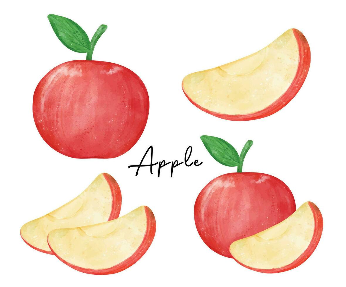 Red Apple Watercolor Collectio. Juicy Slices and Whole Fresh Fruit Art illustration vector