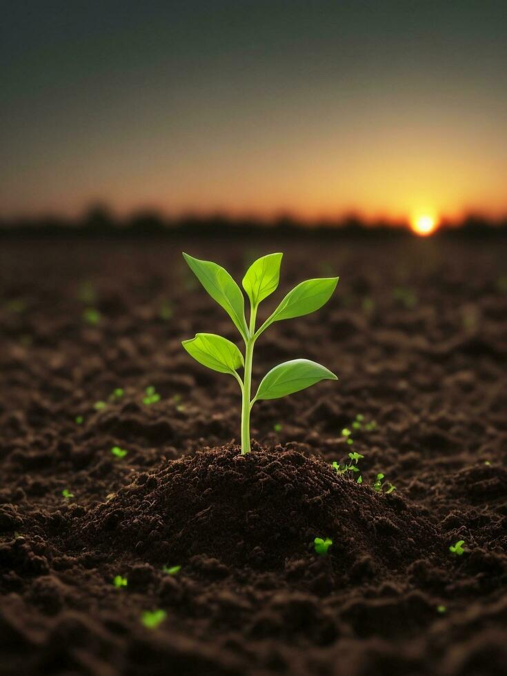 Green sprouts in dark soil against a blurred background symbolize growth and potential with the beautiful sunset. AI generated. photo