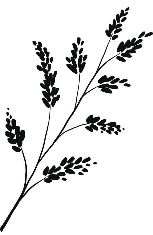 Set of branch and leaves collection. Floral hand drawn vintage set. Sketch line art illustration. Element design for greeting cards and invitations of the wedding, birthday png