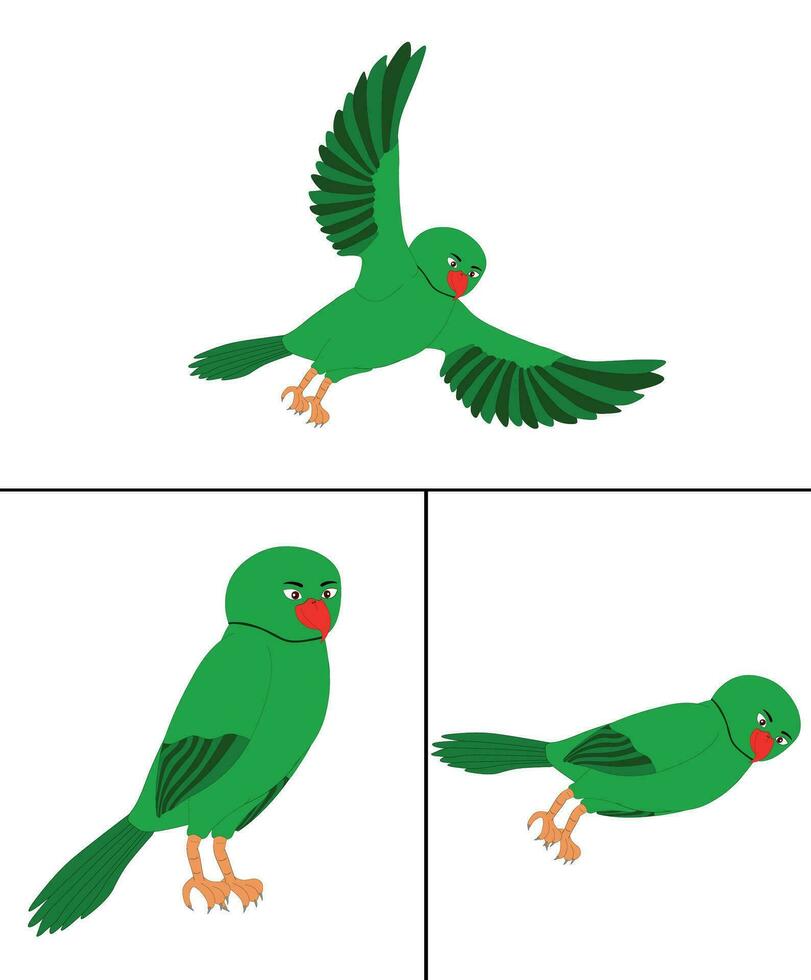 free vector Parrot set