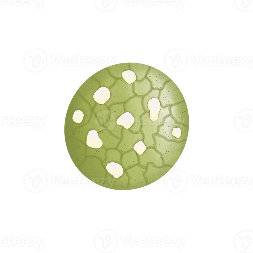 green tea Brownie Cookies png
