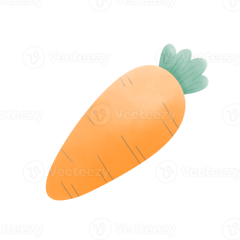 sweetie a carrot png