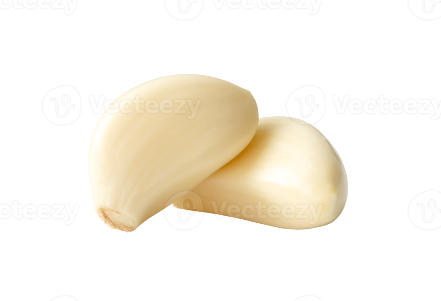 Fresh peeled white garlic cloves in stack isolated with clipping path in png file format