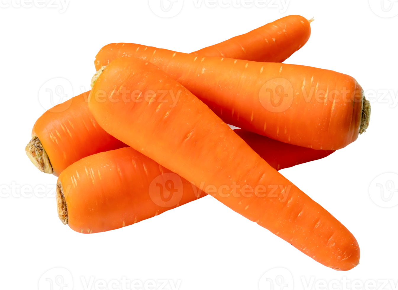 Top view of fresh orange carrots in stack isolated with clipping path in png file format Close up of healthy vegetable root