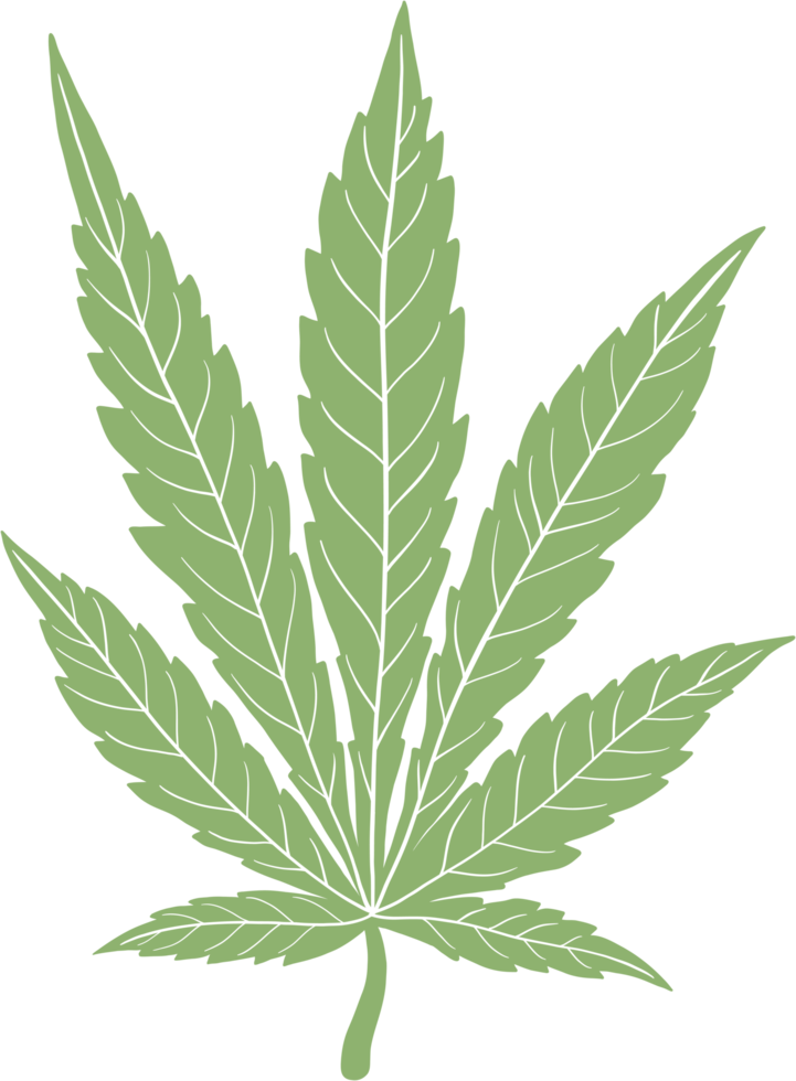 Simplicity cannabis leaf freehand drawing png