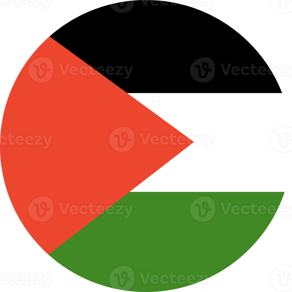 Palestina volta bandeira. circular símbolo. botão, bandeira, ícone. nacional placa. png