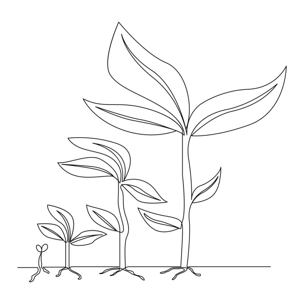 Continuous single line plant growth progress outline vector art design