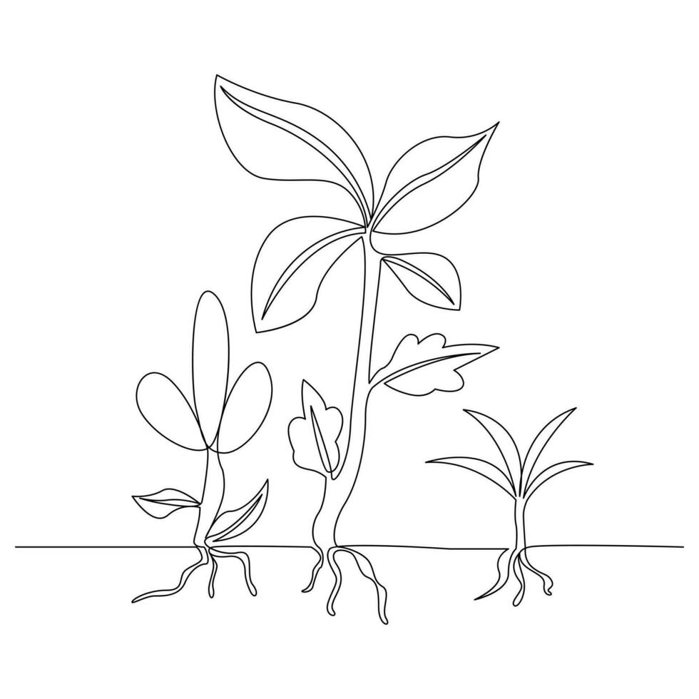 Continuous single line plant growth progress outline vector art design