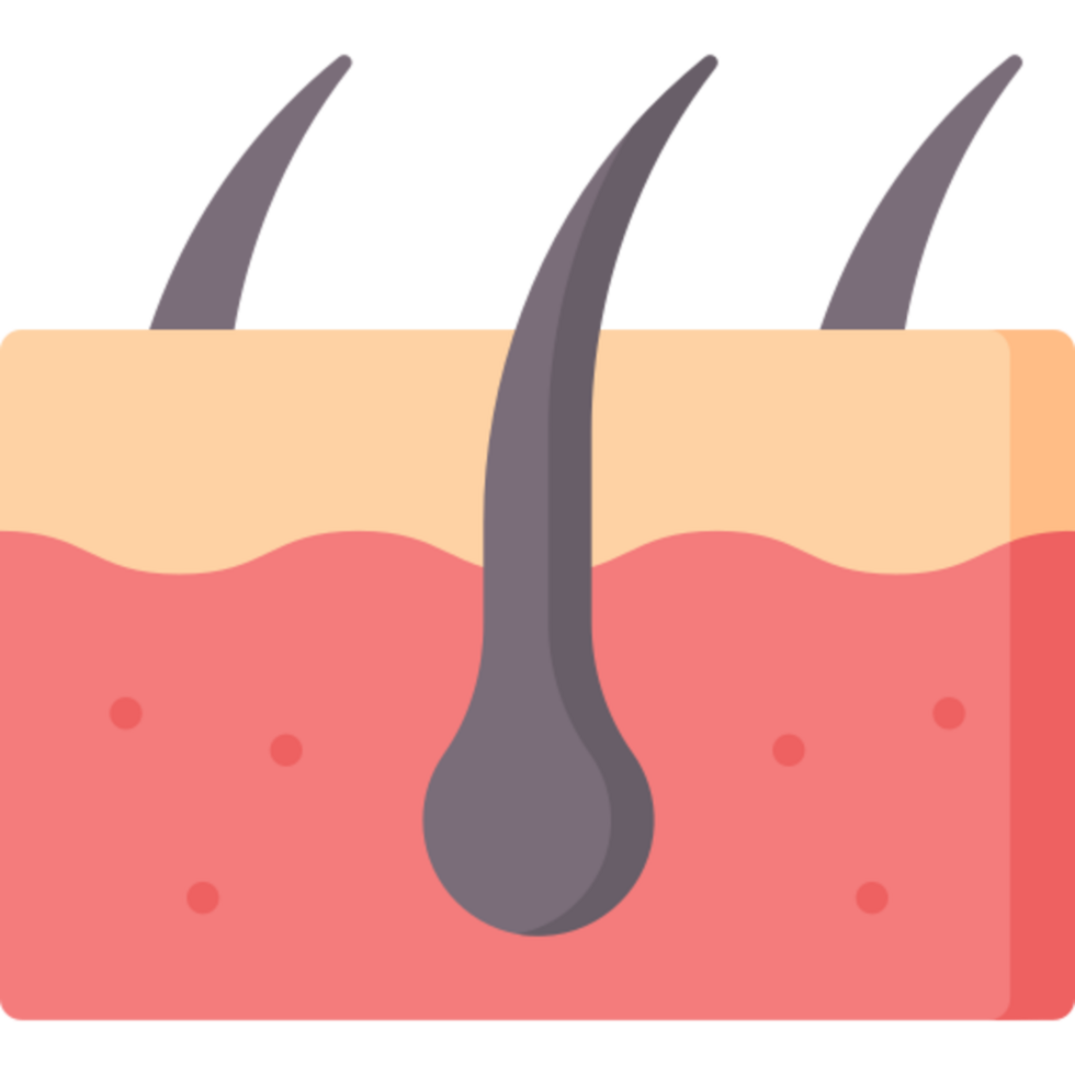 skin icon design png